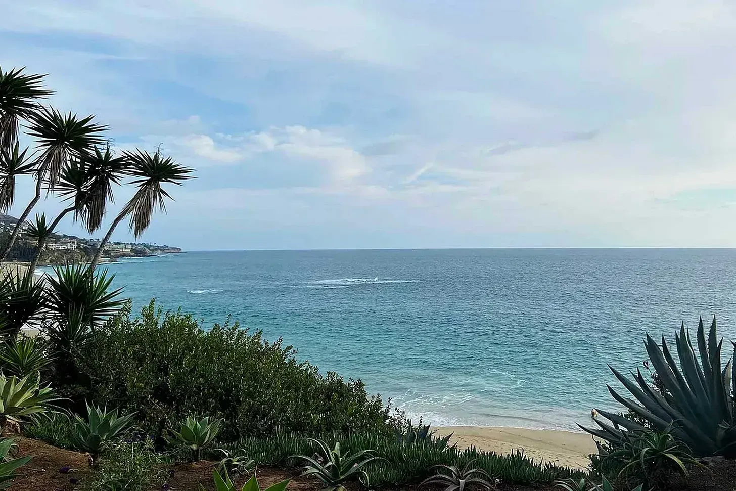 San Diego is My Happy Place feature image