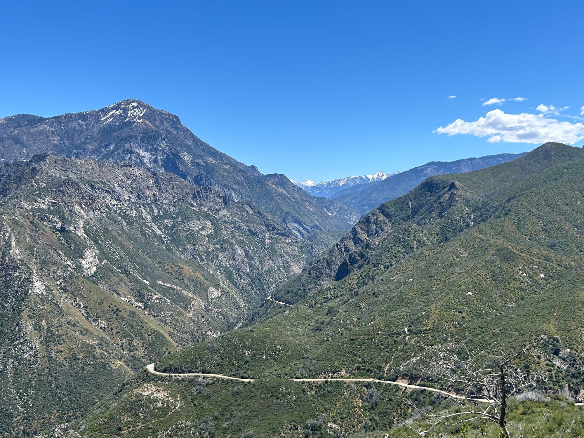 Visiting Kings Canyon National Park feature image
