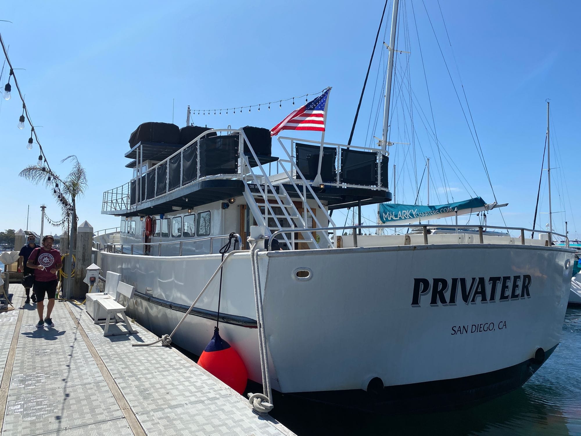 San Diego Whale Watch Review feature image