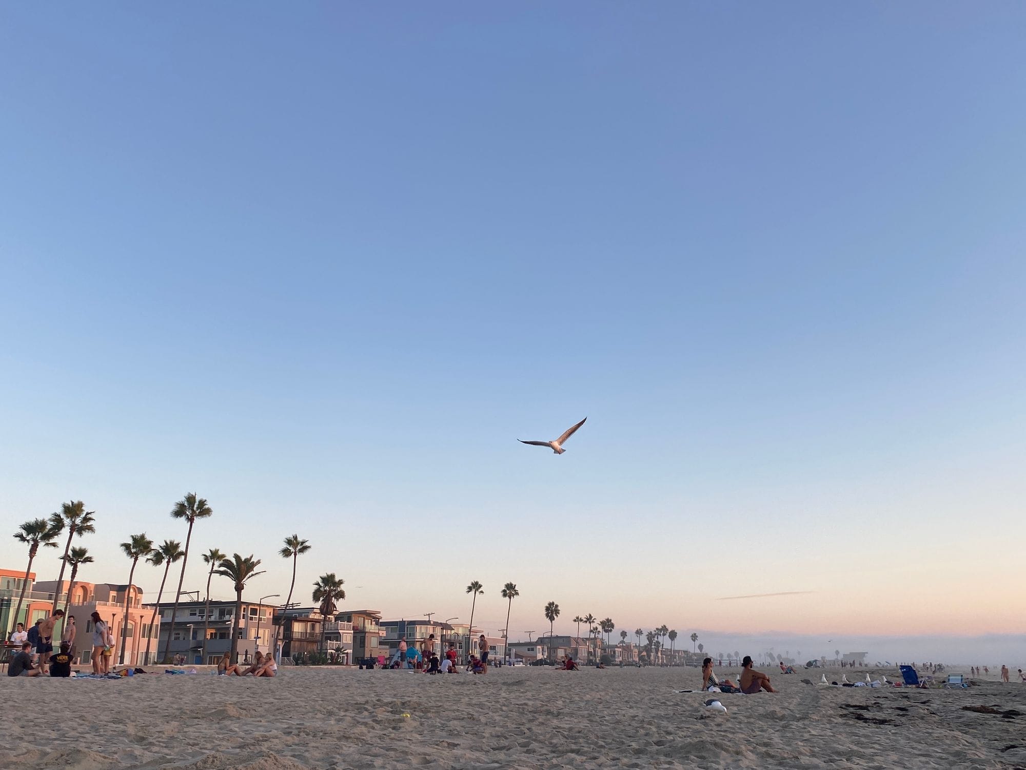 The Beaches of San Diego feature image