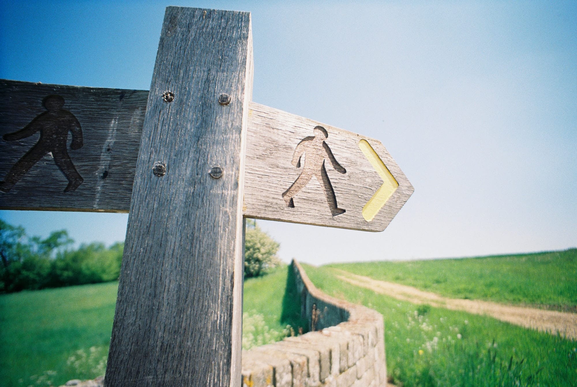 Where Should We Go First? feature image